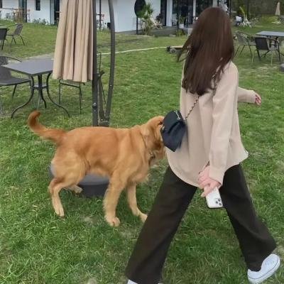 越轨追击
